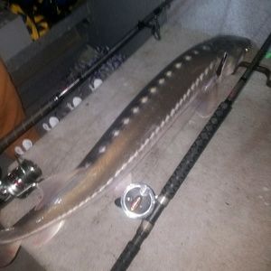 Meet your Posher, Jack